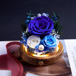 Cadeau <span class=keywords><strong>de</strong></span> la Saint-Valentin, <span class=keywords><strong>roses</strong></span> sous cloche en verre, cadeau pour les meilleures amies, boîte cadeau <span class=keywords><strong>de</strong></span> fleurs éternelles, prix d'usine - Product Image 3