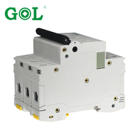 Disjoncteur miniature MCB 1P 2P 2 pôles 6A 100A 10kA avec protection Li certifié IEC CE CCC 110-220V