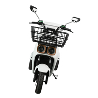 Tricycle électrique à trois roues de haute qualité avec grand panier, moteurs à double moyeu de 1000 W, avec grand coffre arrière