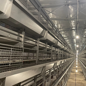 Poulailler multi-niveaux en acier galvanisé de type H durable, <span class=keywords><strong>cage</strong></span> d'élevage pour poussins et jeunes volailles, pour l'élevage de poulets et de poulettes, pour jeunes oiseaux - Product Image 1