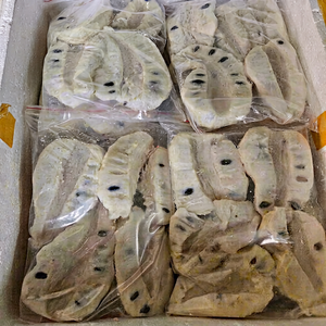 Vietnam Frozen Soursop Natural Fruit Ingredient for Smoothie Recipes Desserts Juice Blends Catering Restaurants Wholesale Supply - Product Image 1