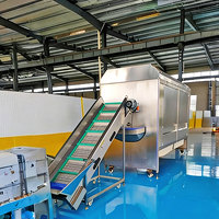 Automatische aardappel- en taro-schilmachine van 304SS staal, 99% schilpercentage voor aardappel, taro en zoete aardappel