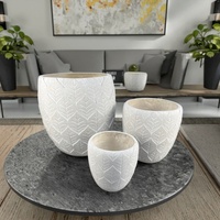 Ensemble de pots à fleurs en ciment modernes, motif de feuilles sculpté à la main, style minimaliste, décoration de bureau