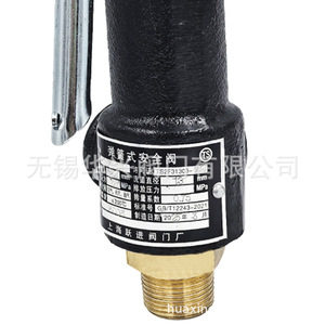 Válvula de seguridad de hierro fundido A27W-10T y A27W-16T de 1/2 pulgada para gas a presión a temperatura normal - Product Image 1