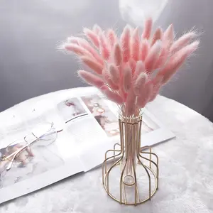 Dried Flowers Wholesalers Dried Dog's Tail Grass Colorful Natural for Home Furnishings Simple Home Decor Table Lamp Easter Grass