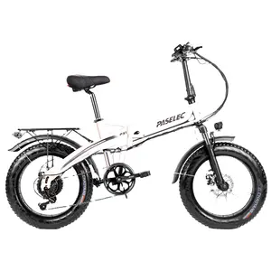 Paselec Opvouwbare Elektrische Fiets 500W 48V 10.4Ah Ebike Fat Tire Fiets Voor Volwassen 20*4 "48V 10.4Ah