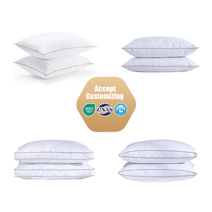 Insert de coussin de plume de canard de haute qualité petit coussin de plume intérieur 100% tissu résistant au duvet nature matière première oreiller - Product Image 2