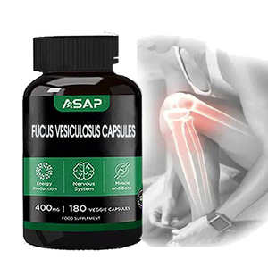 แคปซูลฟิวคัส เวสิคูลอส ของแท้จากผู้ผลิต (OEM)  ระดับอาหาร  ได้รับการรับรองออร์แกนิก คุณภาพสูง  ผลิตภัณฑ์เสริมอาหารจากธรรมชาติ  สำหรับผู้ทานมังสวิรัติ - Product Image 1