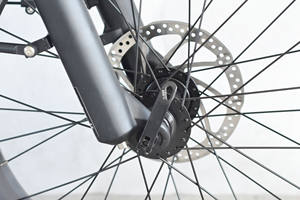 Ebike-bicicleta de carretera eléctrica de 2 ruedas, bicicleta de aleación de aluminio, recargable, 2023 - Product Image 5