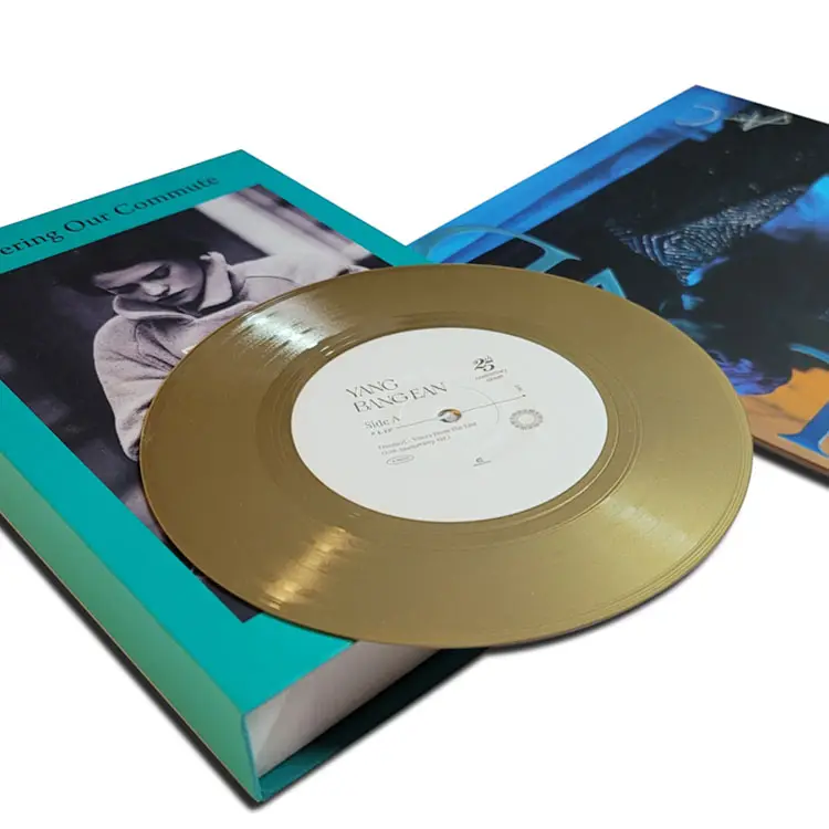 Thời trang chất lượng cao Mini Vinyl hồ sơ hiển thị tùy chỉnh bền Vinyl hồ sơ LP
