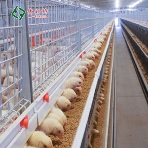 Automatic H Type Poultry Equipment <strong>Egg</strong> Laying Hen Cages Design Layer <strong>Chicken</strong> Cages for Farm - Product Image 2