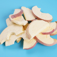 Gefreeze-droogde appelschijfjes FD Gefreeze-droogde Proces Bulkverpakt Knapperig 1kg Kantoorpersoneel Draagbare Snack Fruit Gedroogde Appel