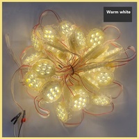 30mm Rgbw 3000K 6000K Pixel Led Point Light Ucs2904 Luz LED impermeable
