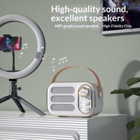 Speaker Audio Mini Portabel Retro dengan Baterai Internal, Tanpa Lampu LED, Pengisian Daya di Rumah, dan Slot Kartu