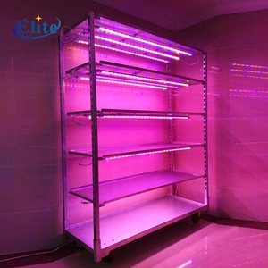 Nhà máy mạ kẽm gieo hạt phát triển giỏ hàng vận chuyển lưu trữ Xe đẩy cho nhà kính - Product Image 3