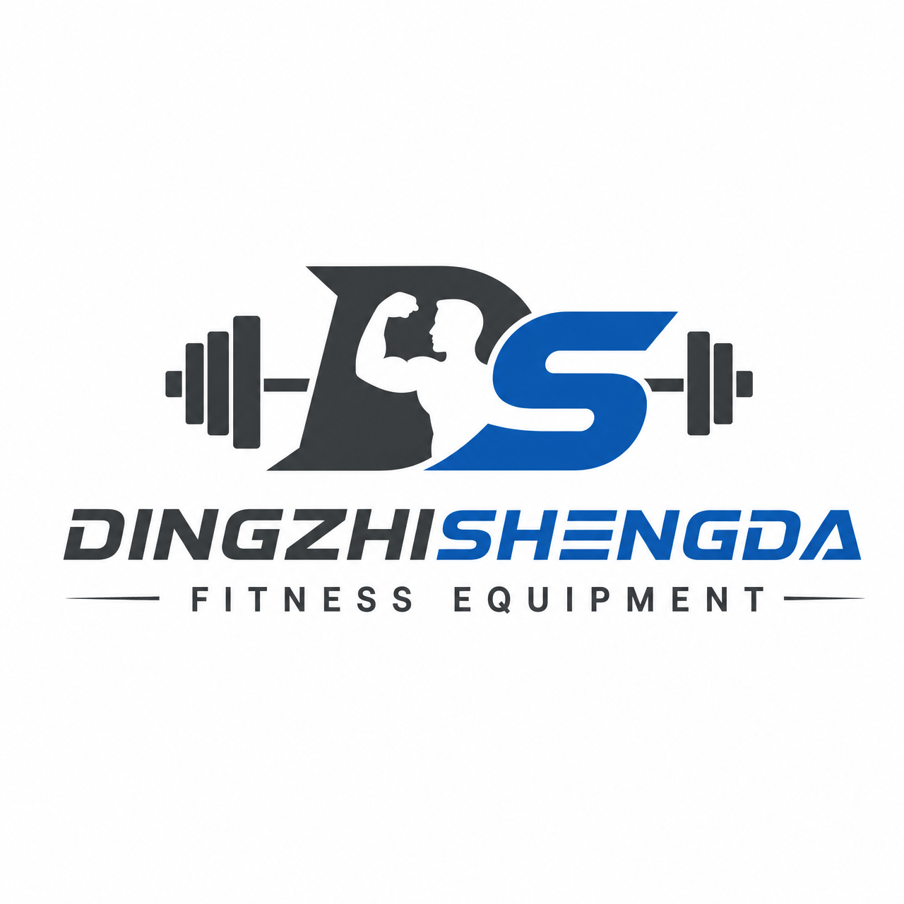 Shenzhen Dingzhi Shengda Technology Co., Ltd. logo