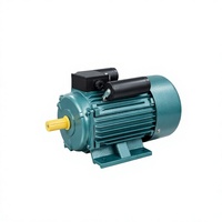 Moteur asynchrone monophasé OMEIK série YL 1HP 2HP 10HP 1450 tr/min, cadre 130 mm, montage sur pied, entièrement fermé, 50/60Hz