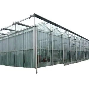 Nông Nghiệp Đa Span/Single Span Polycarbonate Phim Nhà Kính Hoàn Chỉnh Thiết Lập Nhà Kính Của Thiết Kế Thiên Tân