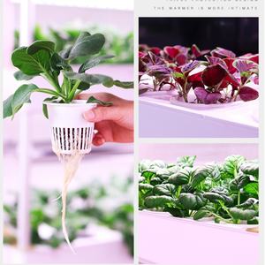 Nuevo Sistema de Cultivo Hidropónico Inteligente para Interiores, Jardín Vertical Inteligente para el Hogar - Product Image 6