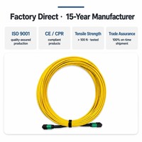 Kabel Patch Cord 12 Serat MPO ke MPO APC G657A1 Single Mode OS2 LSZH 3.0mm Tipe B Kuning untuk Pusat Data 400G 800G