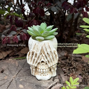 Maceta con diseño de calavera pastoral, sin motivos decorativos, para suculentas, decoración para el hogar y exteriores, de resina sintética - Product Image 6
