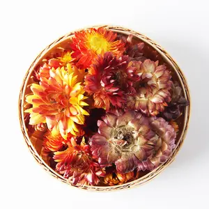 Factory Supply Natural Dried Chrysanthemum Colorful Strawflower Helichrysum for Potpourri Decoration Craft Soap Candle Making