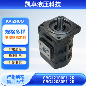 Hydraulic <b>Gear</b> <b>Oil</b> <b>Pump</b> CBGJ2100F1 2R High Pressure Single <b>Pump</b> For Hydraulic Equipment Vertical Shaft - Product Image 3