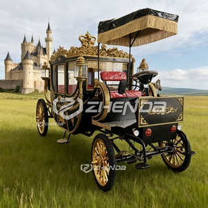 Carroza Real de Transporte Especial Eléctrica de Cuatro Ruedas de Lujo con Capacidad para 6 Personas y Neumáticos de Goma Sólida - Product Image 4