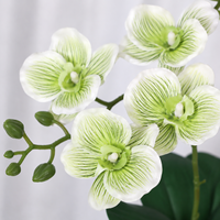 Bouquet d'orchidées Phalaenopsis artificielles à 15 têtes en EVA, toucher réel, multicolores, pour décoration de mariage, fleurs artificielles en gros