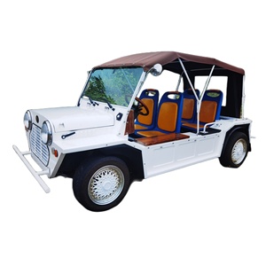 彩虹4乘客磷酸铁锂电池交流电机四座气体迷你莫克吉普车风格 - Product Image 1