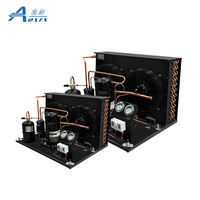 Unité de condensation 3HP Unité de condensation refroidie par air Unité de réfrigération de haute qualité pour chambre froide
