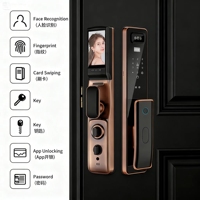 Caméra Wi-Fi haute sécurité, serrure de porte intelligente, reconnaissance d'empreintes digitales, reconnaissance faciale, mot de passe, carte IC, stockage dans le cloud pour portes en bois/aluminium