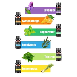 100% puro nuovo Aroma Set di olio essenziale Private Label con lavanda fresca menta piperita 6 Pack olio per massaggio olio per il corpo fornitura OEM - Product Image 2