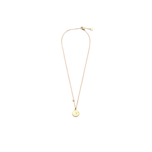 Ciondolo Zodiacale Acero in Acciaio Inossidabile Placcato Oro, Collana Minimalista per Donna, Uso Quotidiano - Product Image 1