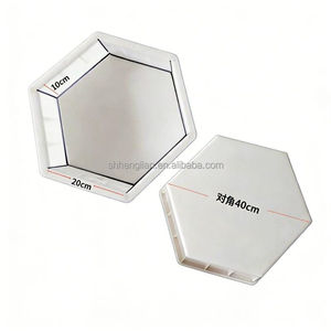 Ladrillos de Pavimentación Moldeados por Inyección Personalizables, Color/Permeables/Para Carreteras/Caminos Peatonales/Plazas/Aplicaciones Municipales (ECFP SHHLP621) - Product Image 4