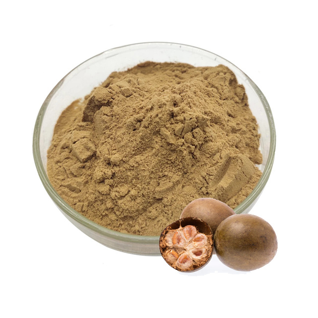 High Quality Pure Moringa Leaf Extract