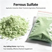 Sulfate ferreux sec en poudre non agglomérant, complément alimentaire pour volailles, porcs et bovins