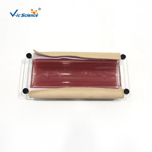 Modèle de peau humaine simulée pour usage médical, avec couches claires, durable et adapté à la pratique des incisions chirurgicales. - Product Image 3
