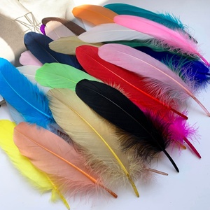 <span class=keywords><strong>Plumes</strong></span> d'oie blanches teintées, lavées, rigides, moelleuses, grandes, pour la vente en gros aux fabricants, accessoires de décoration DIY, attrape-rêves - Product Image 1
