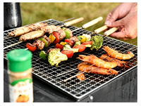 Poêle à bois portable en acier inoxydable, léger, pour pique-nique en plein air et chauffage BBQ