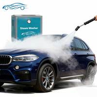Nettoyeur vapeur SW-9A pour voiture, machine de nettoyage à vapeur en acier inoxydable pour l'intérieur des véhicules, laveuse à vapeur pour voiture, machine de lavage à vapeur pour voiture en Arabie Saoudite