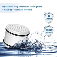Cartouche filtrante de remplacement WHR-140 pour filtre à eau de douche électrique, charbon actif, plastique, certifié NSF, 300 GPD, 3-6 mois