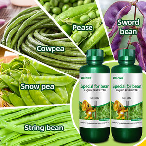 Fertilizante Orgánico <span class=keywords><strong>de</strong></span> Aminoácidos Soluble en Agua para Plantas <span class=keywords><strong>de</strong></span> Judías Verdes, 100% Puro, Liberación Rápida, Mejora la Resistencia a Enfermedades - Product Image 1