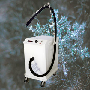 Refroidisseur d'air de peau de refroidissement de glace de dispositif de refroidissement de peau élevée 18000 B - Product Image 6