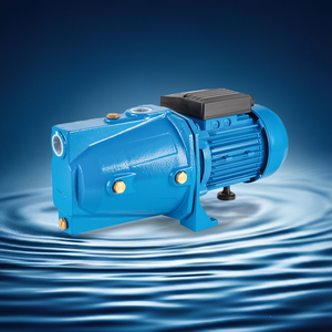 Bomba de Agua Autocebante Eléctrica de Alta Presión de 0.75Hp para Jardín, Riego Agrícola, Bomba de Chorro de Agua de la Mejor Calidad - Product Image 6