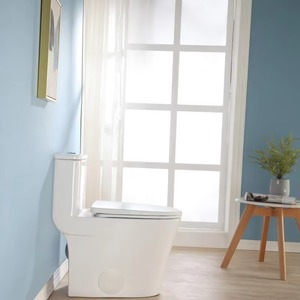 IShower Sanitaire Salle de bain Toilette monobloc Toilette au sol Placard à eau Cuvette de toilette - Product Image 6