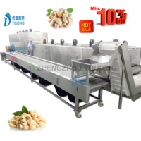 Complete Automatische Fruitgroenteverwerkingslijn Warmtedroogmachine Voor Droog Voedsel