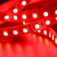 Bande LED 60 LED/m SMD5050 RGB 2700K 10W Lumière LED
