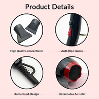 Sèche-cheveux professionnel à ions 3000 watts, sèche-cheveux et coiffeur protecteur, avec accessoire, logo personnalisé, vente chaude