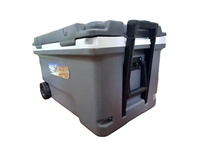 Nouvelle glacière en plastique 60L à prix réduit, style rotomoulé avec ouvre-bouteille, idéale pour le camping